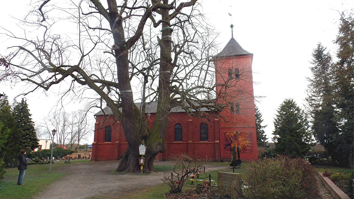 Dorfkirche Brielow mit Schwedenlinde – Ortsteil der Gemeinde Beetzsee, Potsdam-Mittelmark, Brandenburg