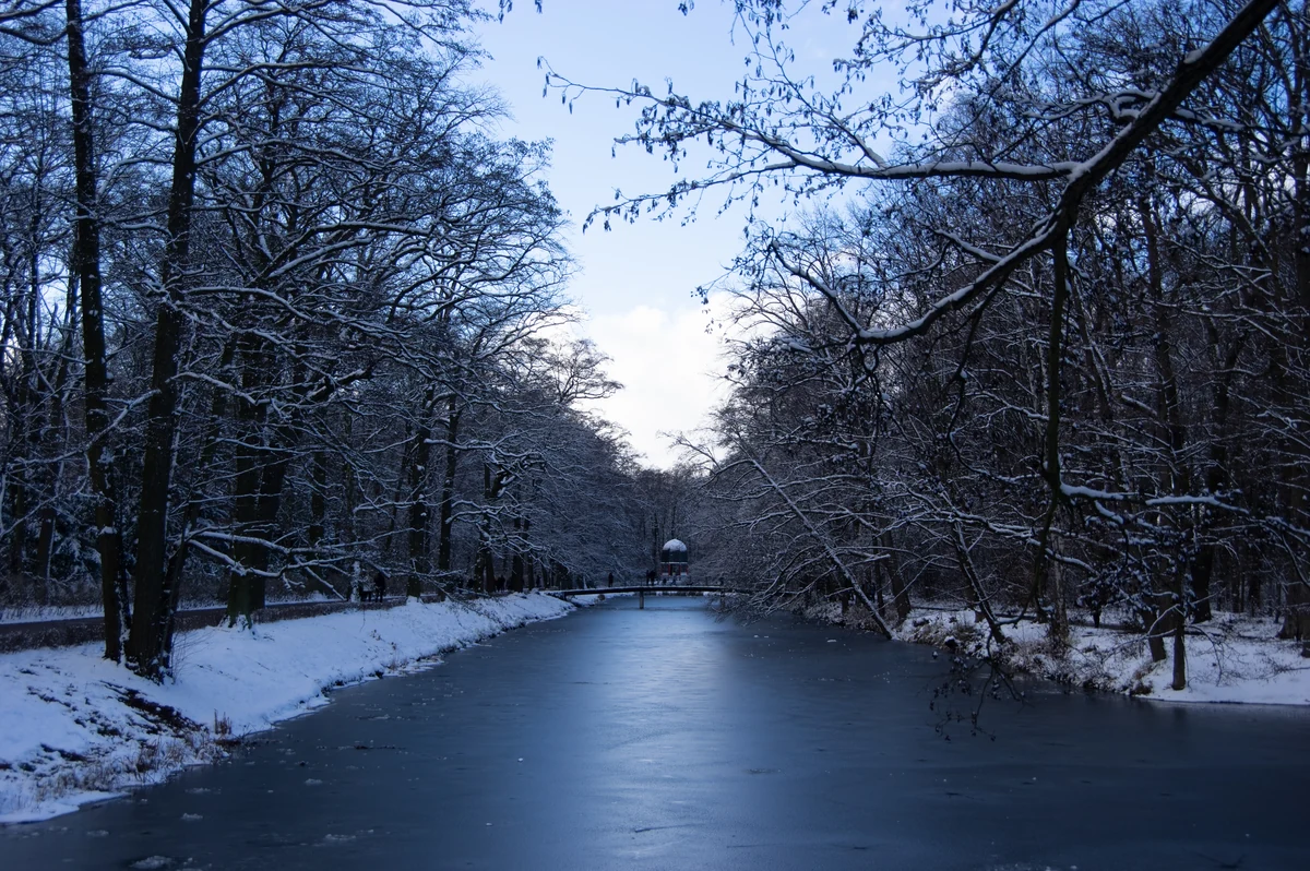 Volkspark Jungfernheide in Charlottenburg-Nord – Grünanlage und Siedlung nördlich der Spree, Berlin