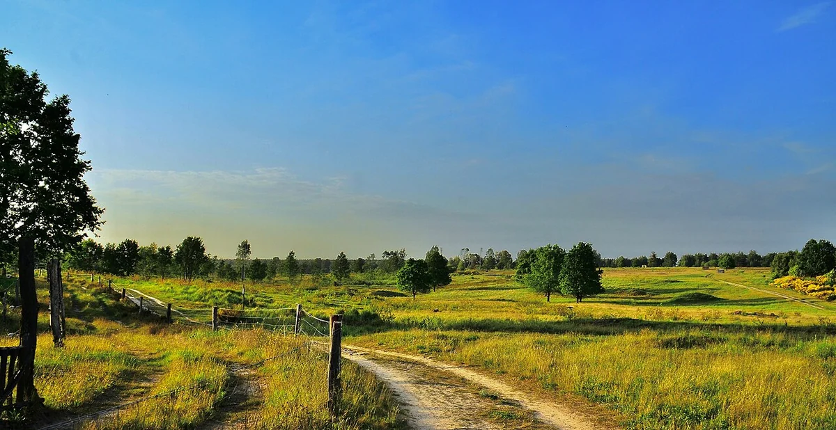 Döberitzer Heide bei Dallgow-Döberitz – offene Landschaft westlich von Berlin, Brandenburg