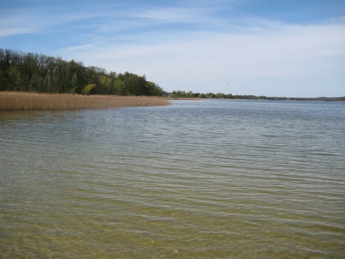 Seddiner See bei Seddin – Seeblick mit Schilf und Badesteg, Gemeinde Seddiner See, Brandenburg