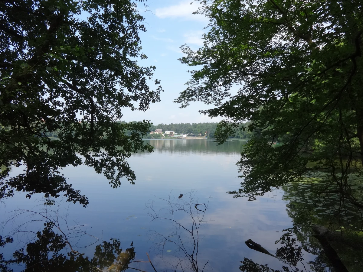 Großer Däbersee Waldsieversdorf – Uferlage im staatlich anerkannten Erholungsort, Märkische Schweiz, Märkisch-Oderland, Brandenburg