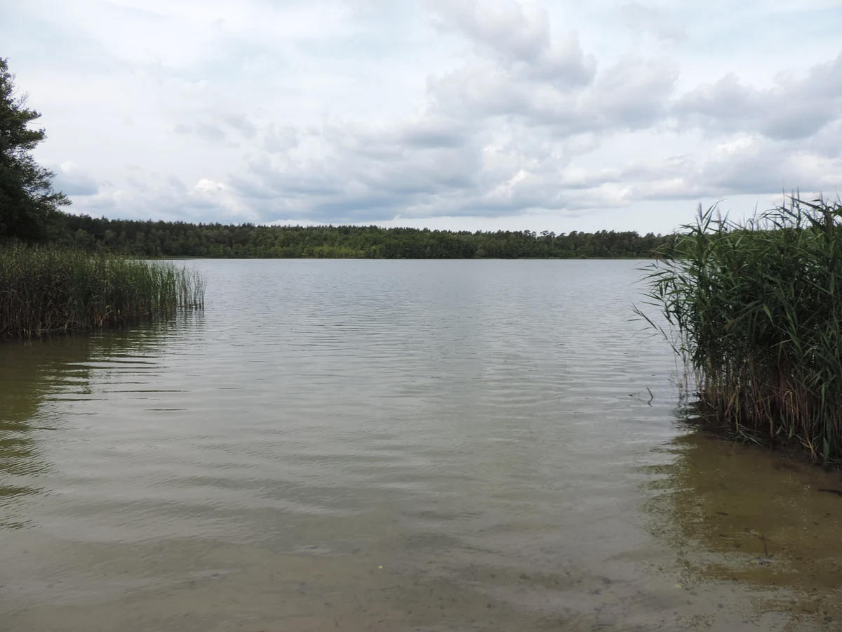 Zesch am See / Strandbad Zesch – Seeufer, Gemeindeteil von Lindenbrück, Ortsteil der Stadt Zossen, Teltow-Fläming, Brandenburg